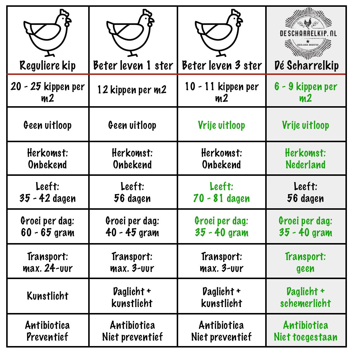 Kipdrumsticks van de Scharrelkip